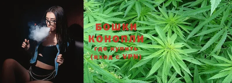 где купить наркоту  Истра  мега рабочий сайт  Шишки марихуана OG Kush 